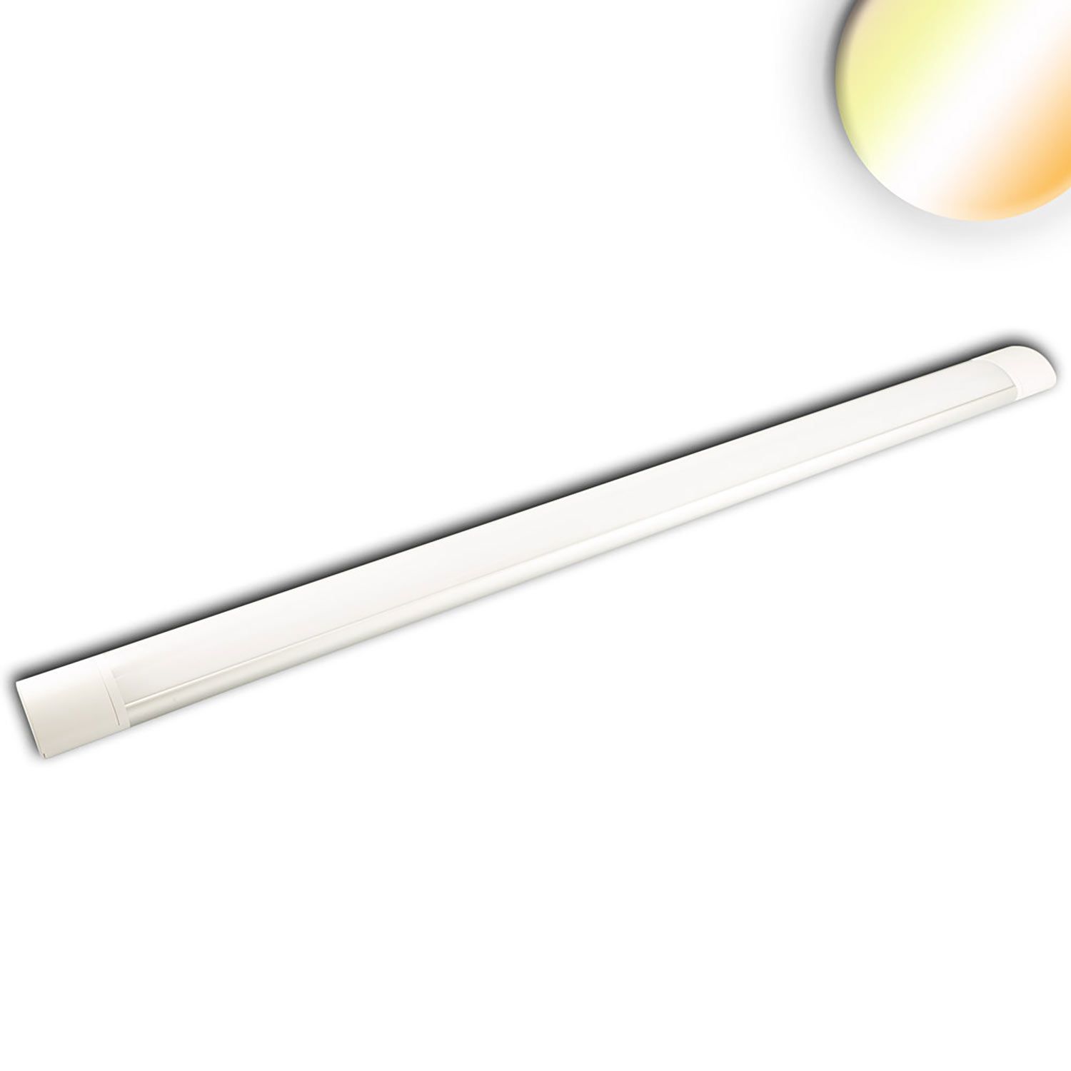 ISOLED LED Aufbauleuchte 120cm, 40W, IP42, Color Switch 3000|3500|4000K - 1