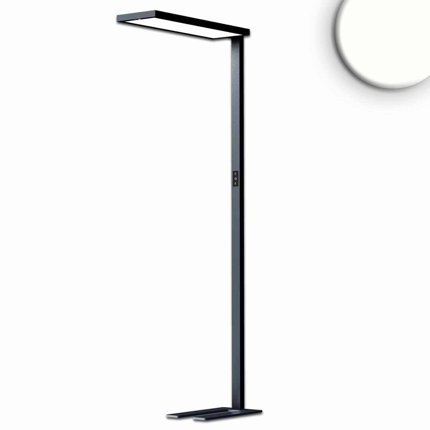 ISOLED LED Office Pro Stehleuchte Up&Down, 80W+20W, schwarz, UGR