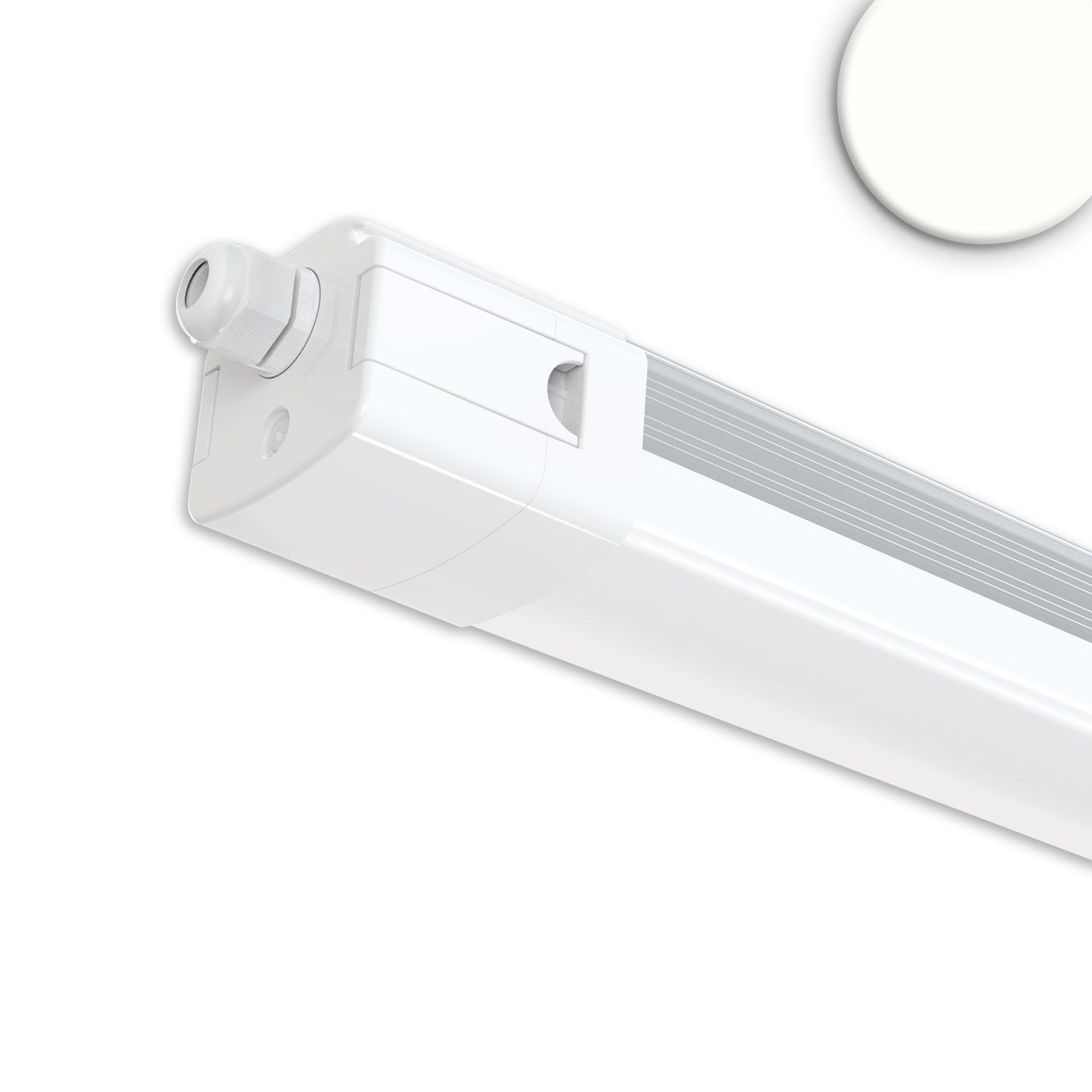 ISOLED LED Linearleuchte XChange 150cm, IP66, PowerSwitch 35-60W, 160lm/W, 4000K, CRI80, DALI dimmbar - 1
