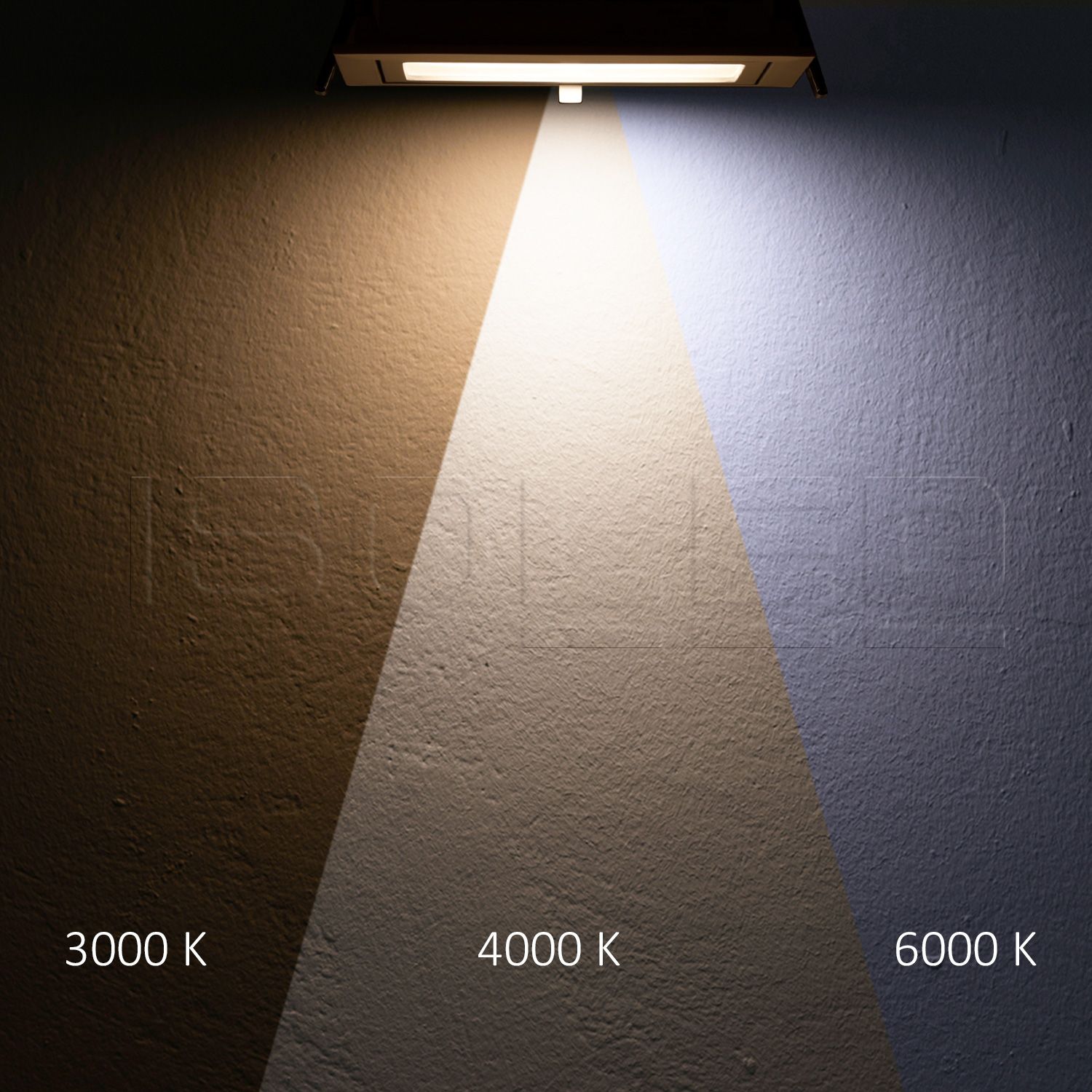 ISOLED LED Shop-Downlight Box, 32W, ausschwenkbar, weiß, ColorSwitch 3000|4000|6000K, dimmbar - 4