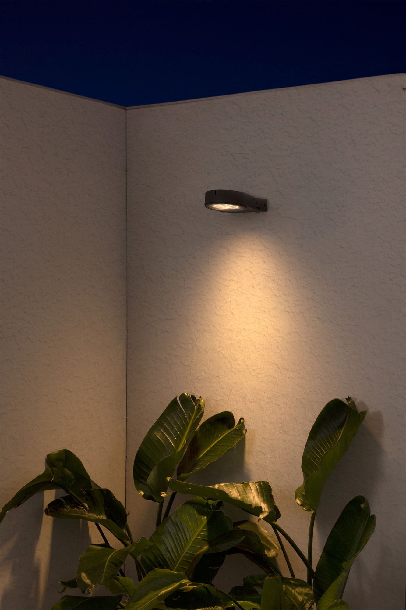 Faro MUUR 250 Dunkelgraue Projektorlampe - 2