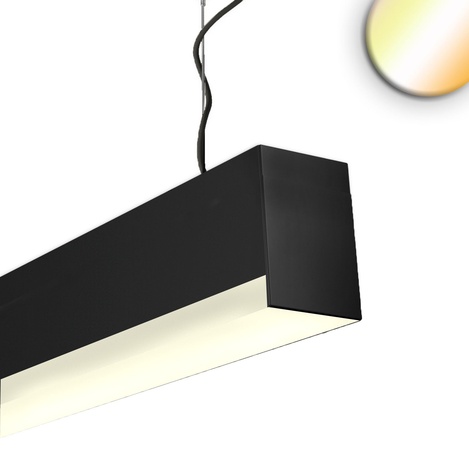ISOLED PROLAMP 30HIDcri90hs Pendel 68W schwarz, 1500mm, U-Cover, Push/DALI dimmbar, CCT+CCT - 1