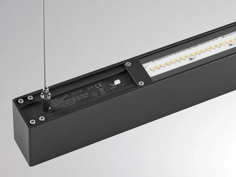 Molto Luce PERFORA PROLINE M PDI (schwarz) - 10