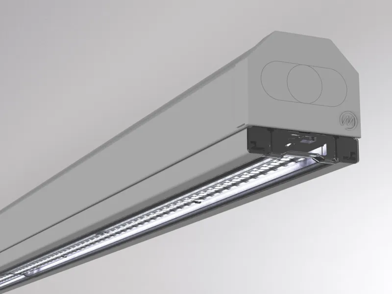 Molto Luce TRAIL LIGHT INSERT DA (grau) - Produktbild 3