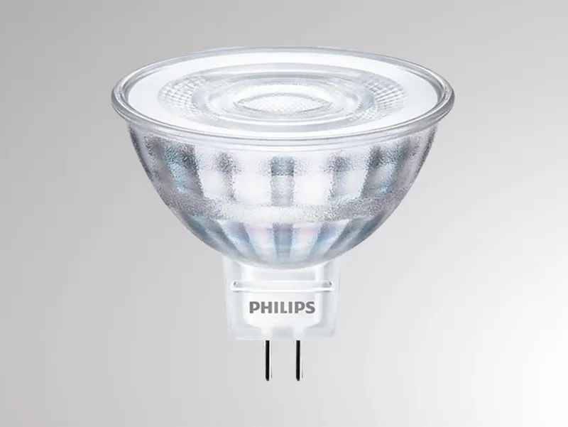 Molto Luce COREPRO - 1