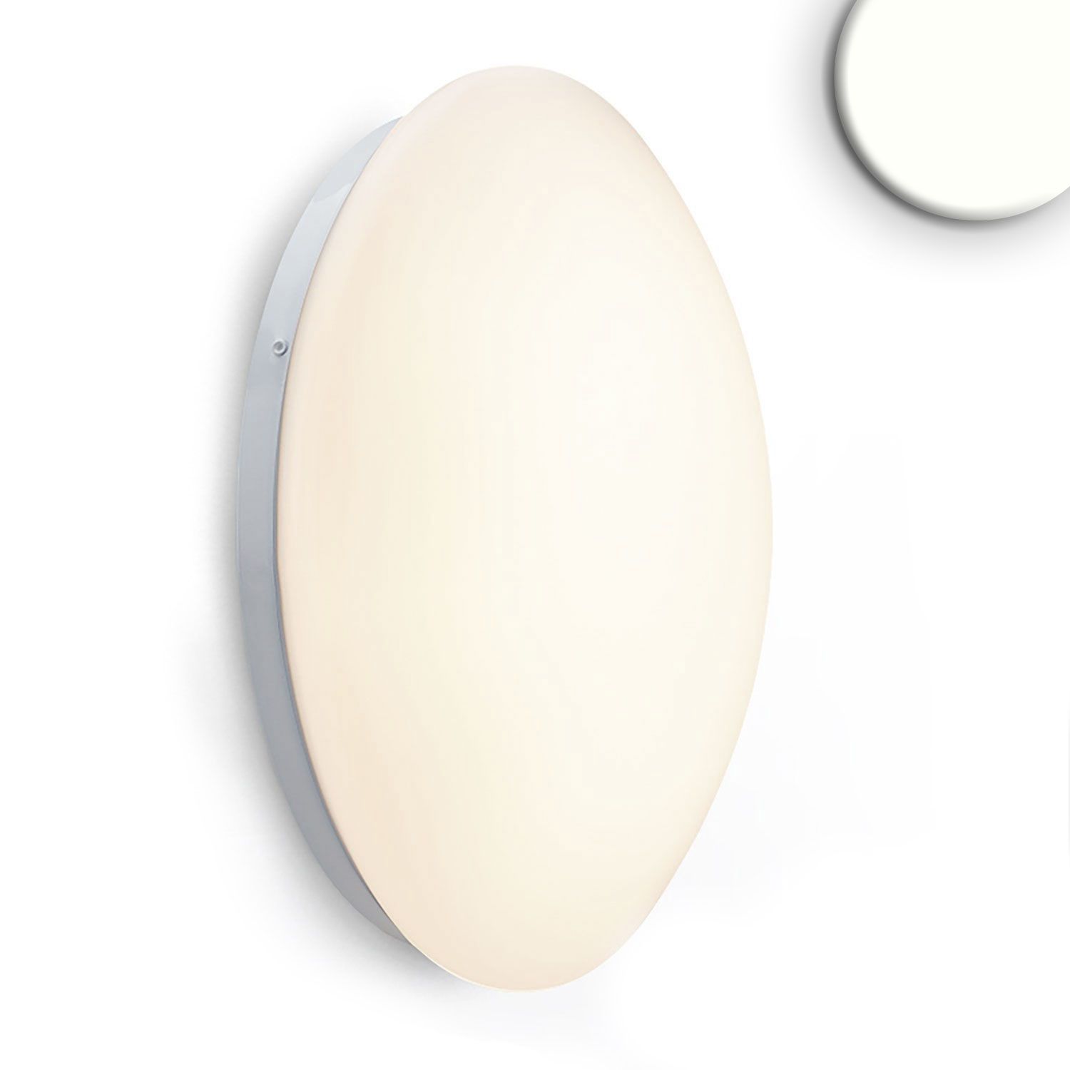 ISOLED LED Decken/Wandleuchte weiß, rund, 24W, DN380, IP54, neutralweiß ISOLED LED Decken/Wandleuchte weiß, rund, 24W, DN380, IP54, neutralweiß - 1