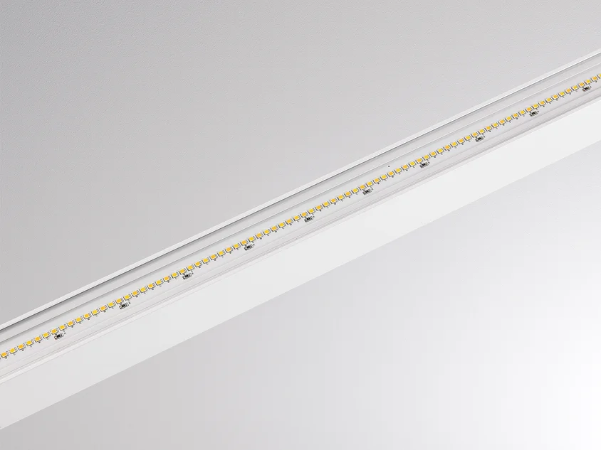 Molto Luce Perfora Proline M PDI (Weiß) - 6