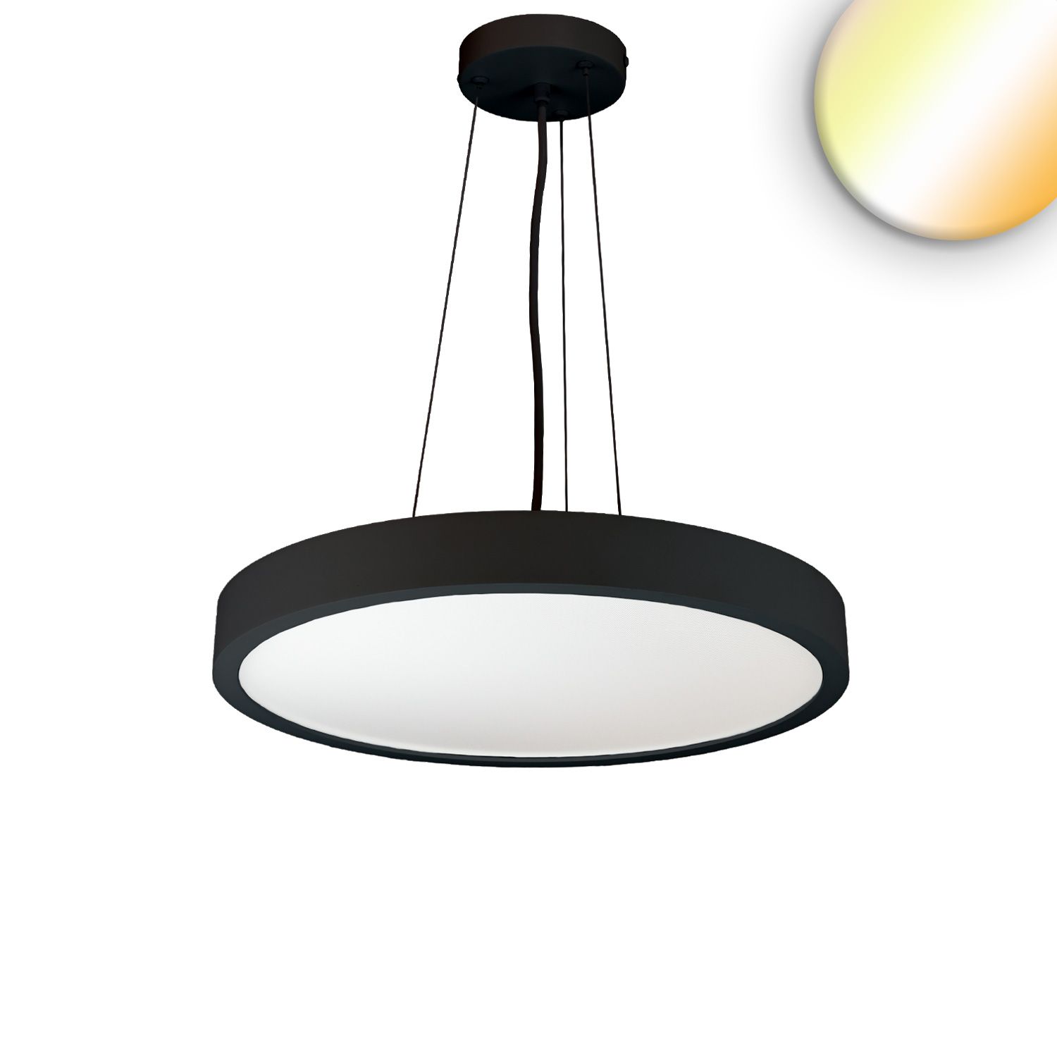 ISOLED LED Hängeleuchte UGR ISOLED LED Hängeleuchte UGR