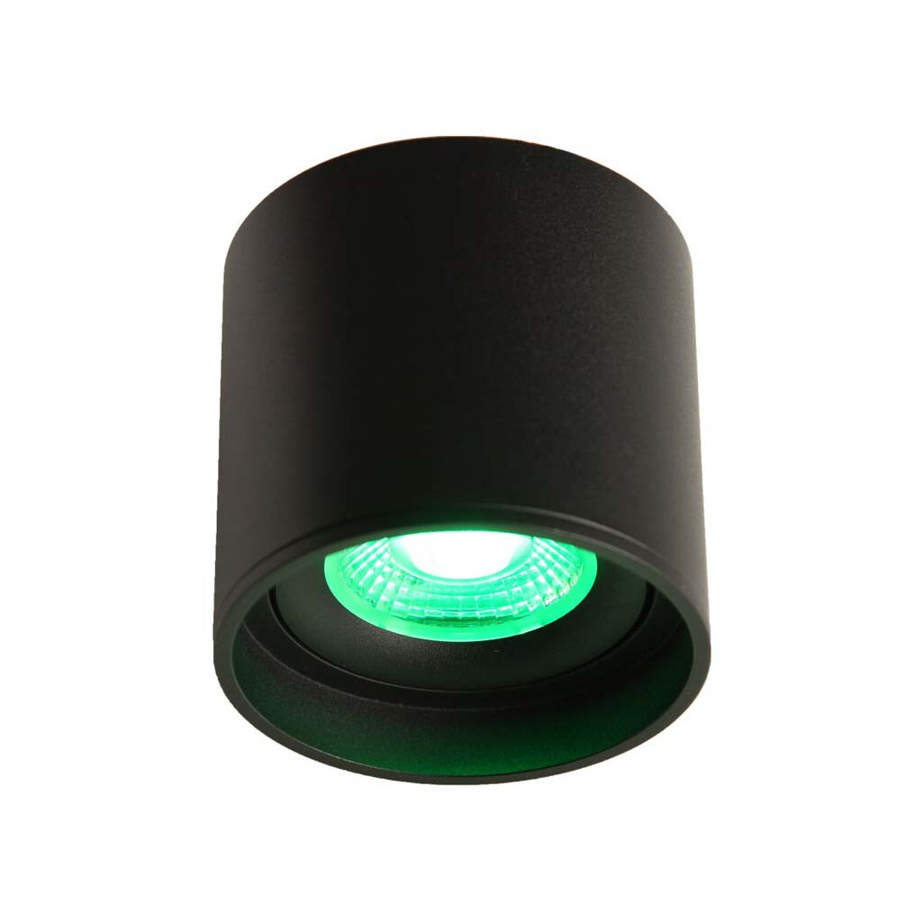 Emilum LED Ceiling Spot 24V, 8W, RGBW/3000K, CRI90 Schwarz Emilum LED Ceiling Spot 24V, 8W, RGBW/3000K, CRI90 Schwarz - Produktbild 1