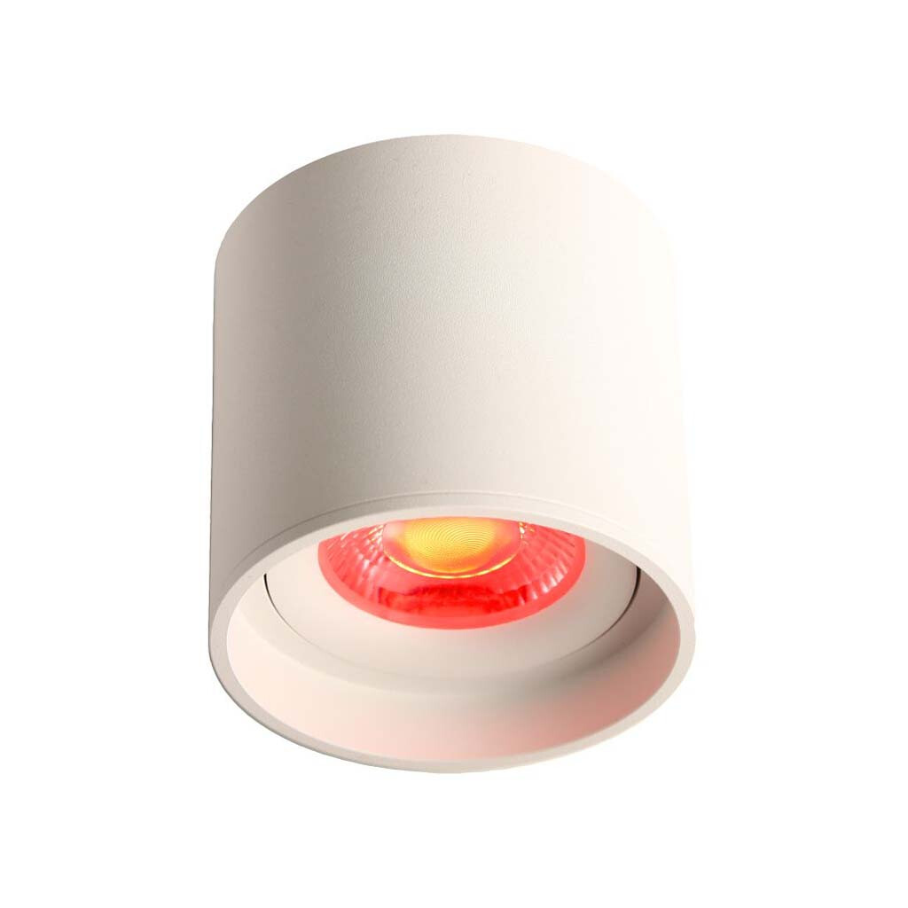Emilum LED Ceiling Spot 24V, 8W, RGBW/3000K, CRI90 Weiß - 3