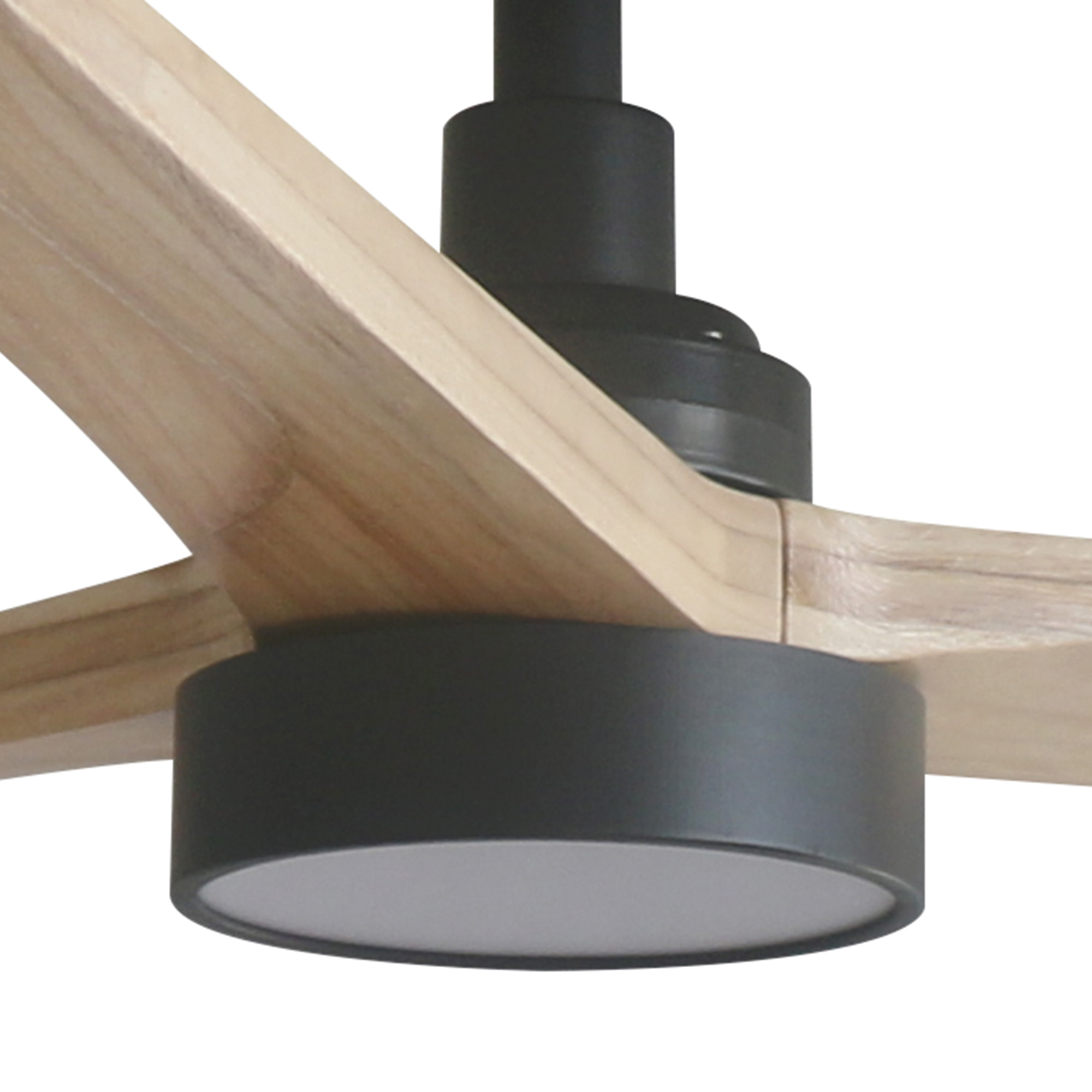 Faro TAKI Set mit schwarzem Licht SWT 20W dimmbar Faro TAKI Set mit schwarzem Licht SWT 20W dimmbar - 1