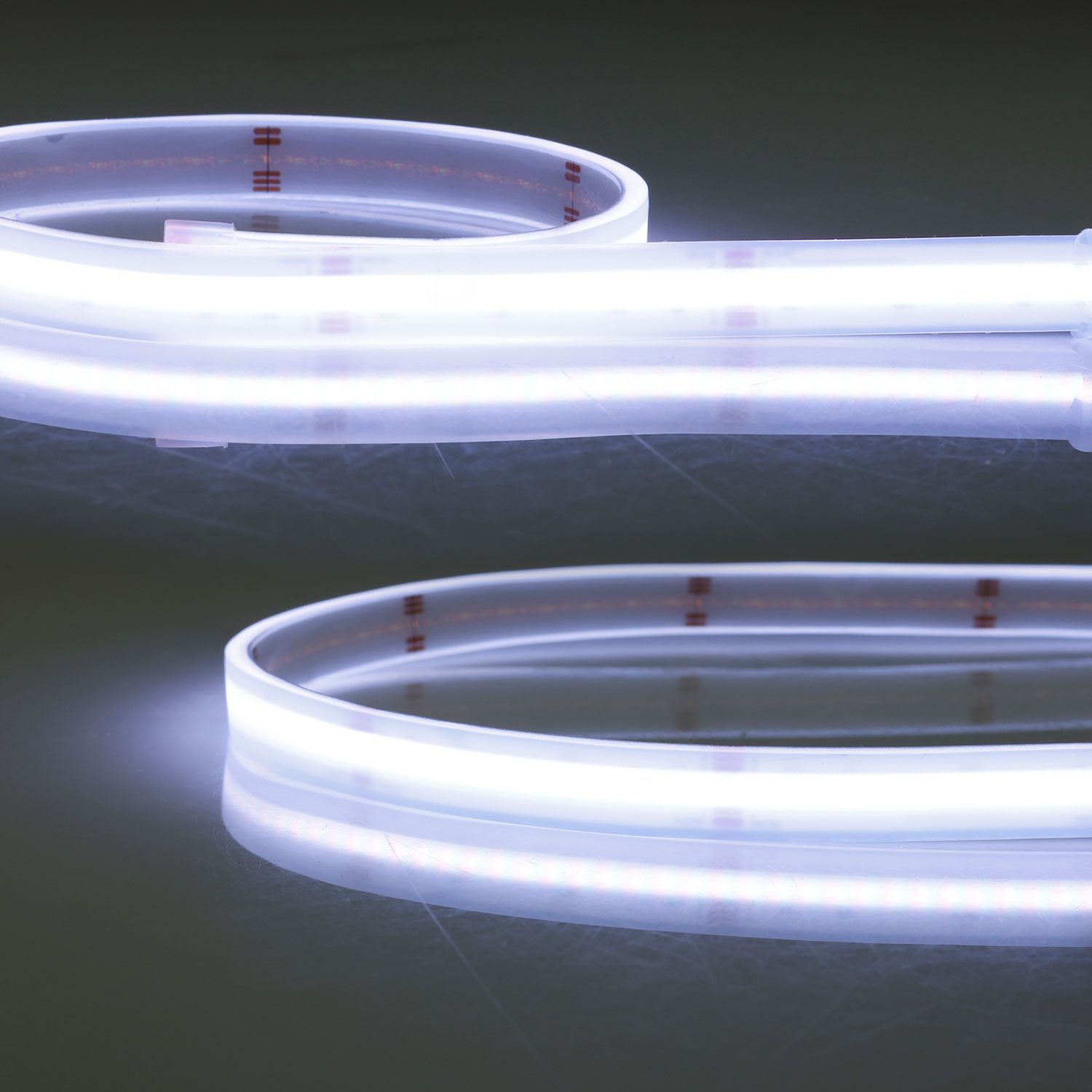 ISOLED LED HT RGB+WW COB Flexband für bis zu 100°C Umgebungstemp., 24V DC, 19 W, IP68, 5m Rll, 896 LED/m - 1