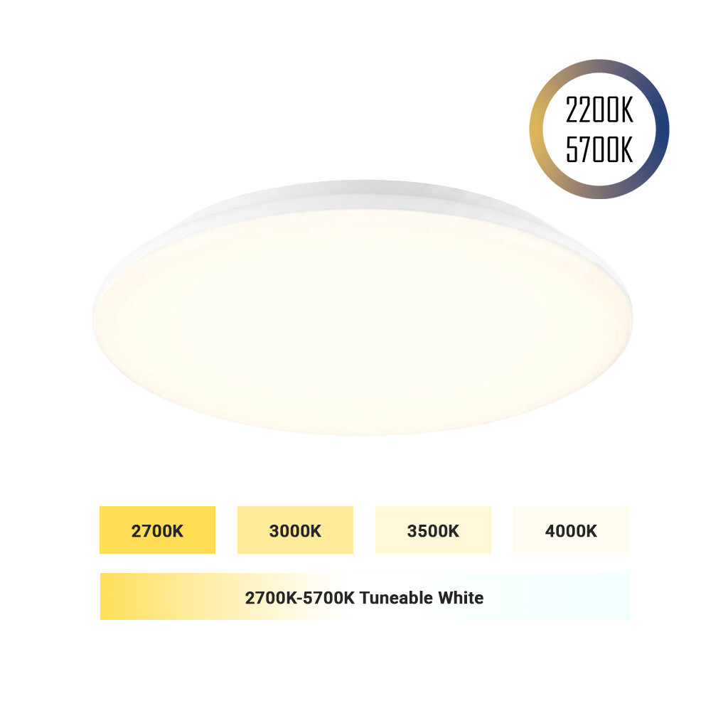Emilum LED Surface Light 24V, 25W, 2200K_5700K, CCT+, CRI90 - 1