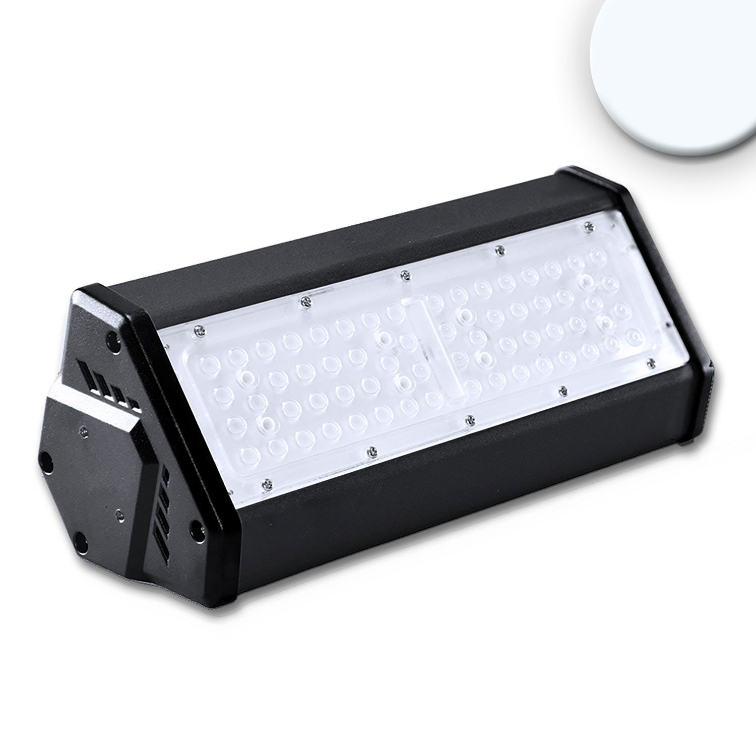 ISOLED LED Hallenleuchte LN 50W, 30x70°, IK10, IP65, 1-10V dimmbar, kaltweiß - 1