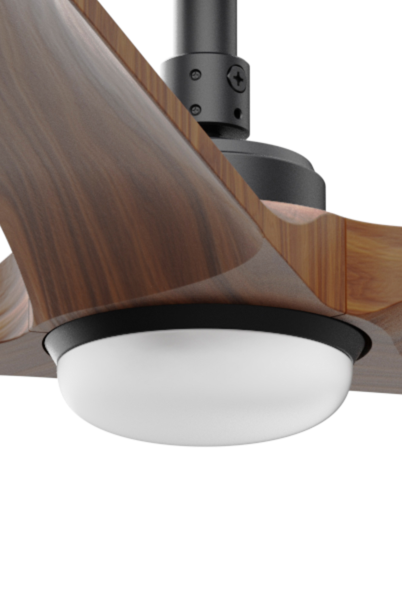 Faro HEY/HEYWOOD Set mit schwarzem Licht SWT 10W dimmbar - Produktbild 1
