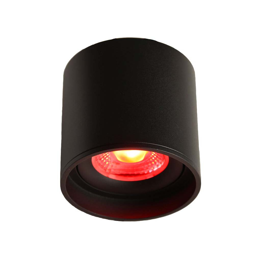Emilum LED Ceiling Spot 24V, 8W, RGBW/3000K, CRI90 Schwarz - 3