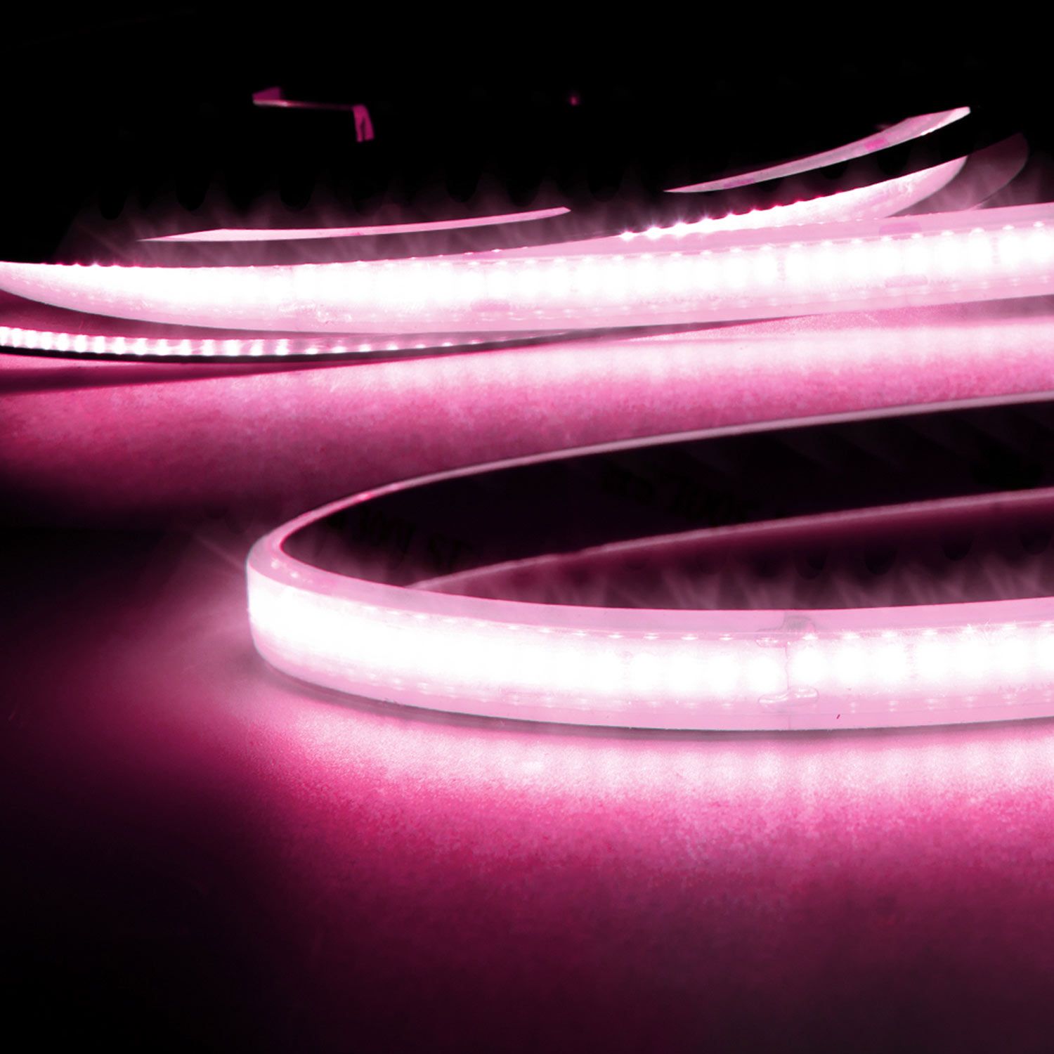ISOLED LED AQUA CRI9P Linear 48V Flexband, 8W, IP68, pink, 5m Rolle, 240 LED/m - 1