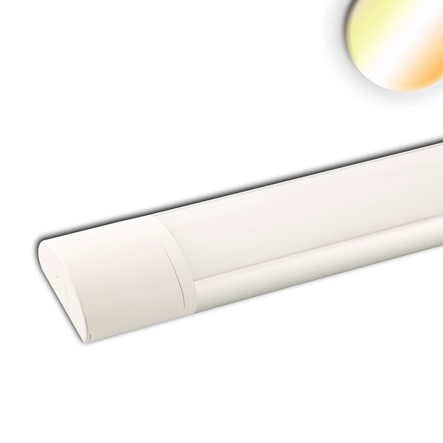 ISOLED LED Aufbauleuchte 120cm, 40W, IP42, Color Switch 3000|3500|4000K - 2