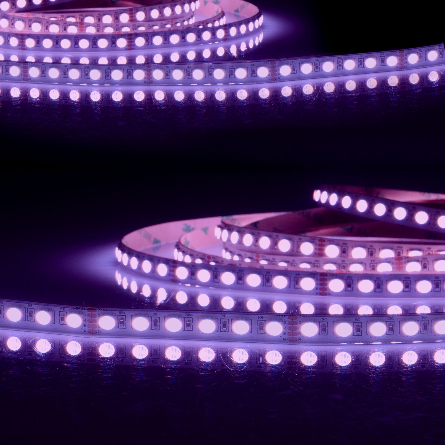 ISOLED LED AQUA RGB+WW Flexband, 24V DC, 19W, IP68, 4in1 Chip, 5m Rolle, 96 LED/m - 1