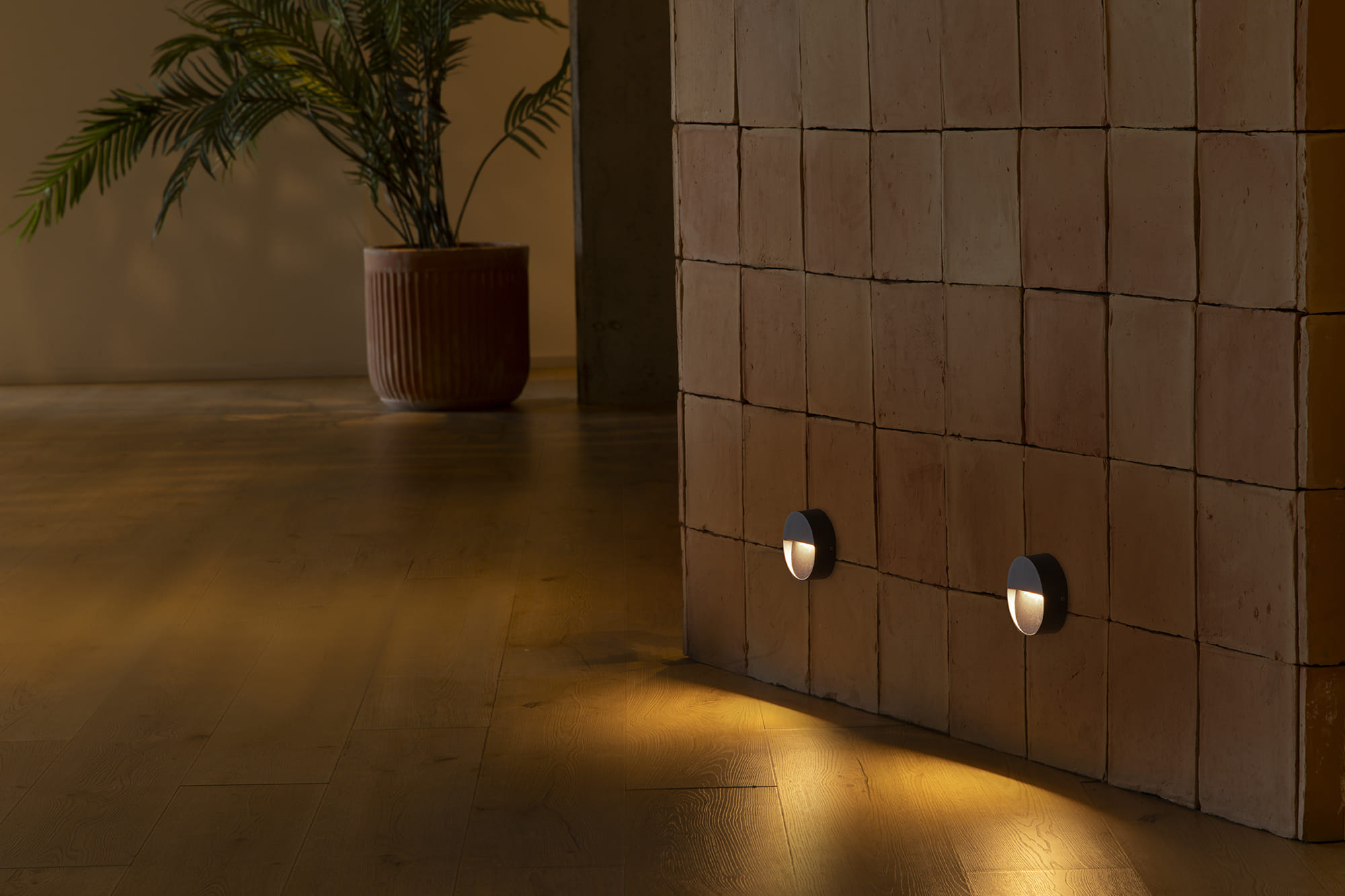 Faro DUNE R Rundes Wandapplikat mit dunkelgrauem Finish, 3W 4CCT - Produktbild 2