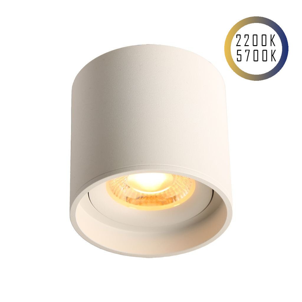Emilum LED Ceiling Spot 24V, 8W, 2200K/5700K, CRI90 (Tuneable White, CCT) Weiß - Produktbild 1